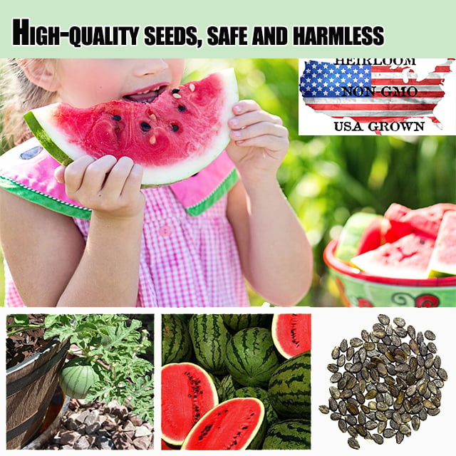 Ruby Watermelon Seeds for Pots – Grow Fresh Mini Watermelons Easily | Pack of 500 Seeds