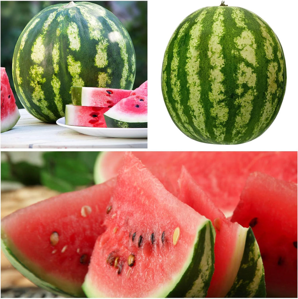 Ruby Watermelon Seeds for Pots – Grow Fresh Mini Watermelons Easily | Pack of 500 Seeds
