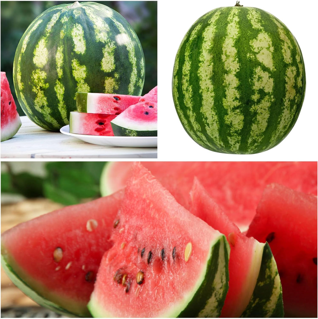 Ruby Watermelon Seeds for Pots – Grow Fresh Mini Watermelons Easily | Pack of 500 Seeds