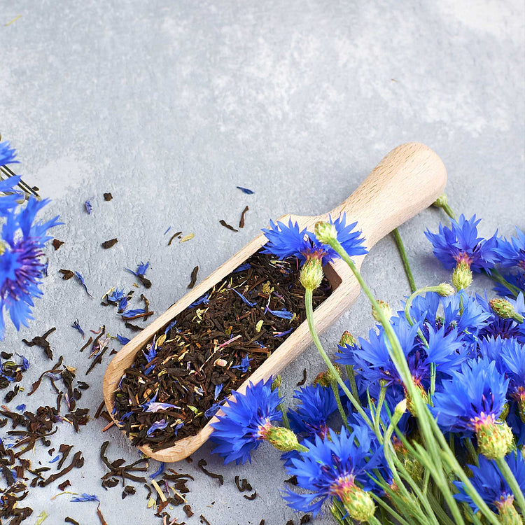Premium Mixed Cornflower Seeds – Bachelor’s Button | Non-GMO Pack of 500
