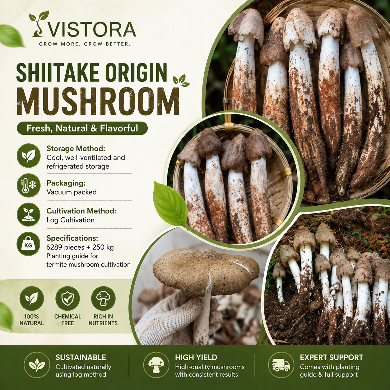 Premium Organic Mushroom Harvest Grow Kit Seeds – Pack of 500